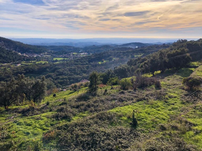 Jeep Safari Silves And Monchique From Albufeira -Discover the wonders of Silves and Monchique with our thrilling Jeep Safari...